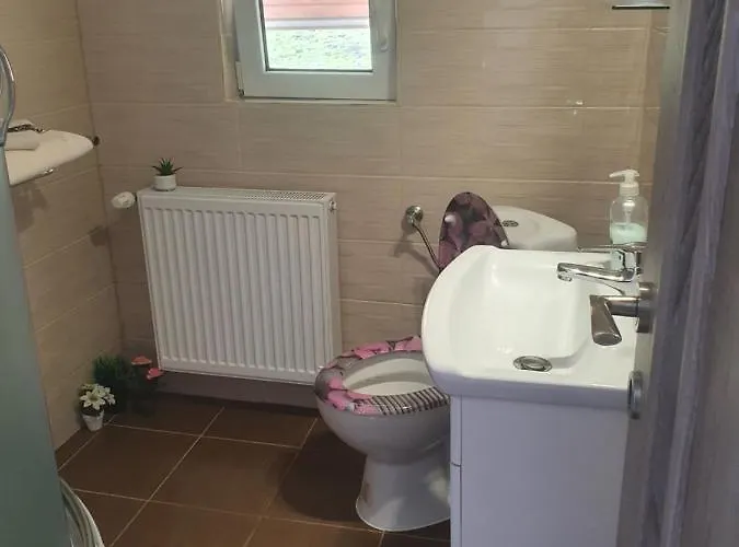 Guest house Casa Destinatia Perfecta Moieciu